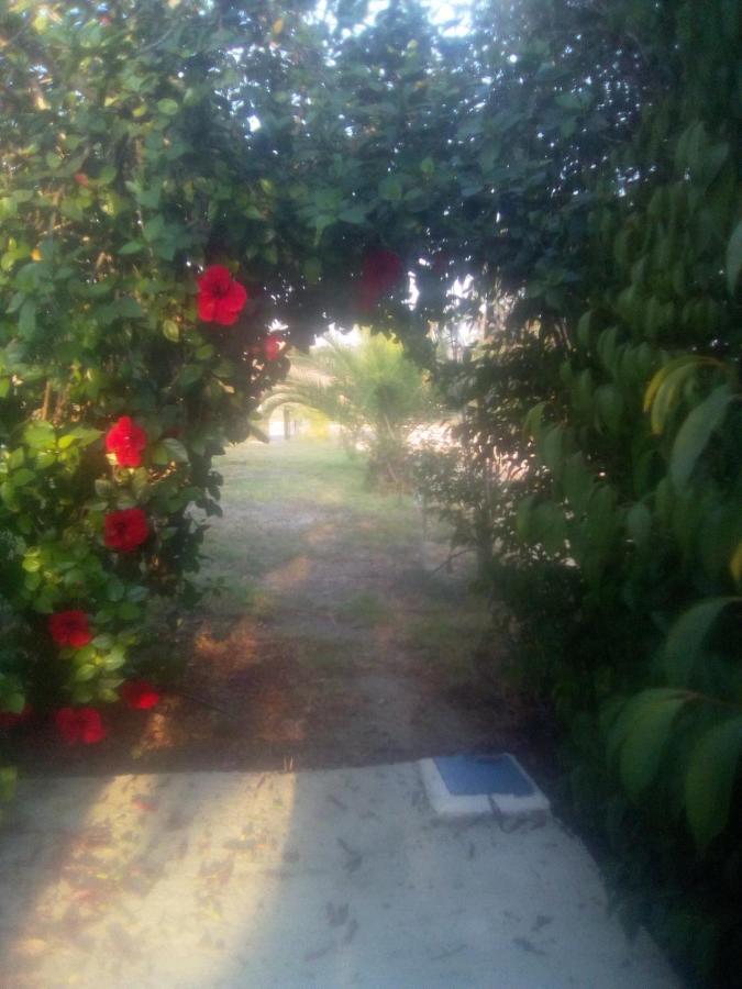 Traditional House Marivilla Mastihari Exterior photo